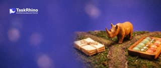 A small wooden rhino stands where a narrow garden path forks: one way leads to a stack of paper task cards, the other to a tidy board of coloured tiles.